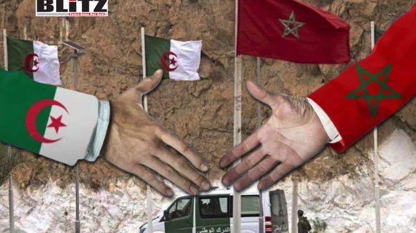 خبير أمني : الجزائر ترفض السلام لأنه سيؤدي إلى سقوط "أساطير النظام"