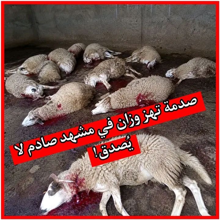 صدمة تهز وزان في مشهد صادم لا يُصدق